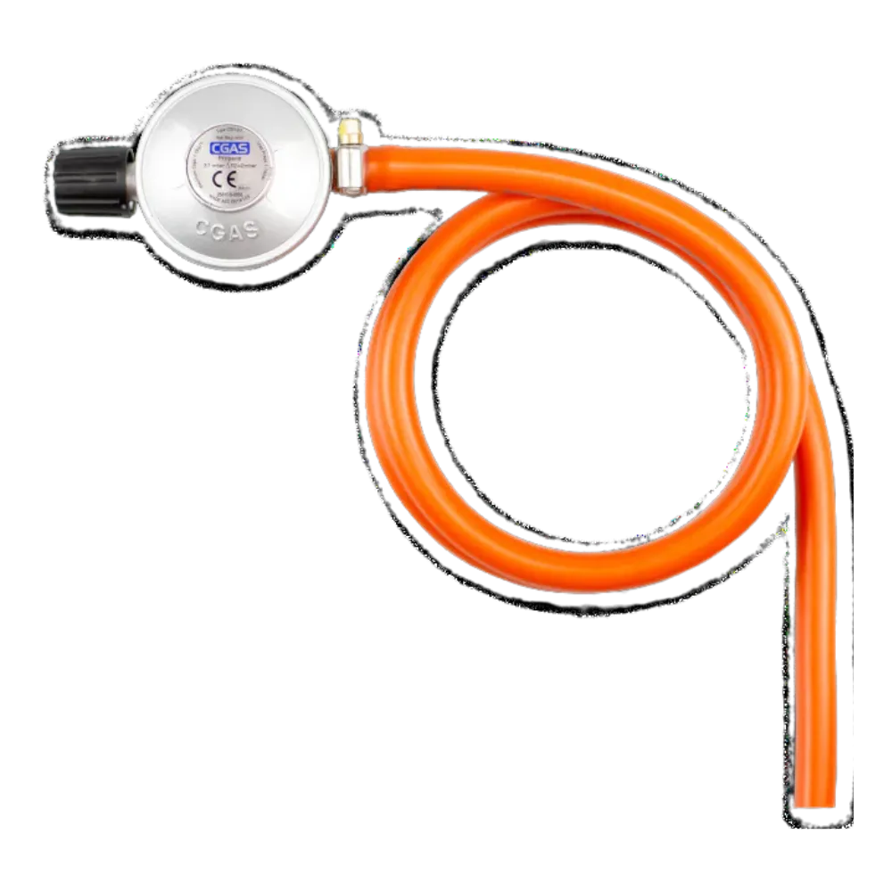 Delivita Regulator & Hose For Gas