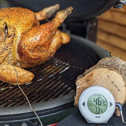 Thermapen Dot