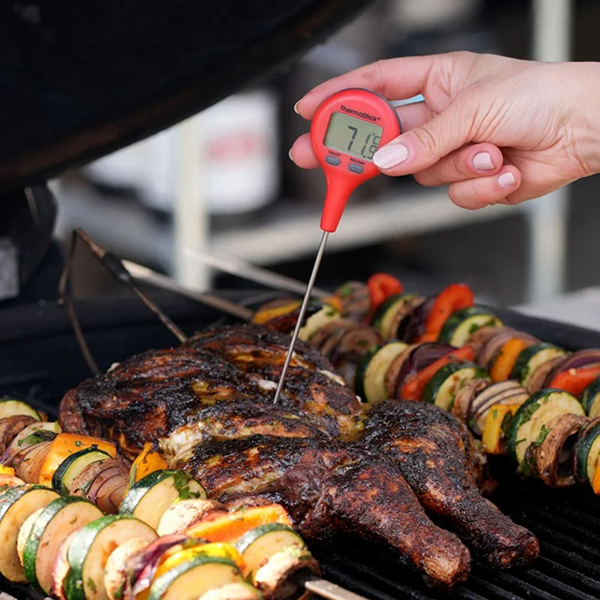 Thermapen ThermaStick